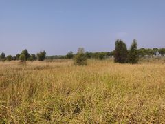 -野鸭湖国家湿地公园