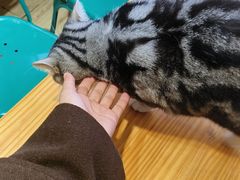 -小时光咖啡馆(开森度假森林店)