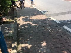 -火炉山森林公园
