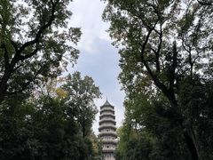 -灵谷景区