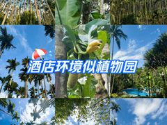 -七仙岭君澜度假酒店