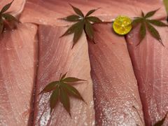 -水之惠鲜鱼料理(王府大街店)