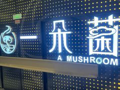-一朵菌·野生菌探索家火锅(南亚店)