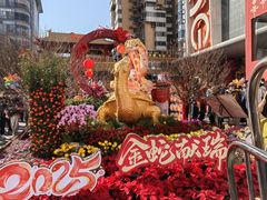 -越秀西湖花市(广州城市广场花卉店)