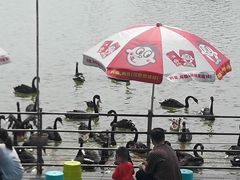 -艾溪湖湿地公园