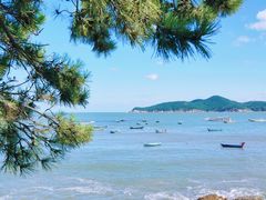 -海源公园