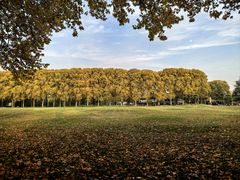 -河南省黄河迎宾馆