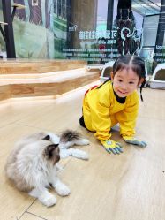 -小象动悟公园(龙湖亦庄天街店)