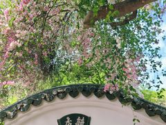 -深圳国际园林花卉博览园