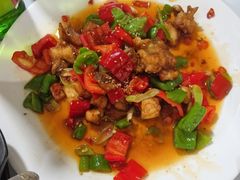 -煲来饱去冷水鱼
