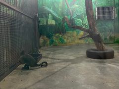 -西安秦岭野生动物园