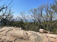 -泰山风景名胜区