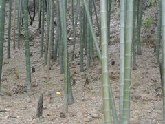 景点-穹窿山景区