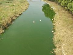 -北京麋鹿生态实验中心