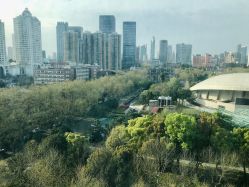 -海豚湾高端月子会所(黄浦店)