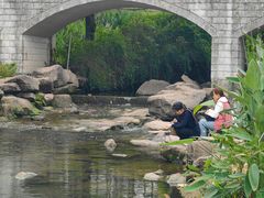 -重庆彩云湖湿地公园