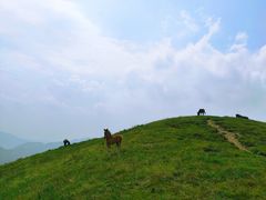 -北京灵山风景区