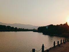 -长兴太湖图影湿地文化园