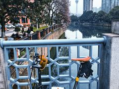 -成都市活水公园