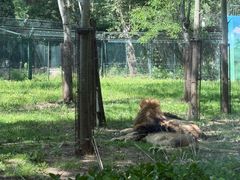 -秦皇岛野生动物园
