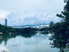 -荔枝公园(福田区)
