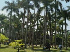 -中国科学院西双版纳热带植物园