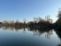 -溱湖国家湿地公园