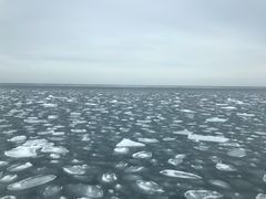 -网走流冰观光破冰船极光号