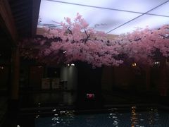 -纽斯洗浴SPA(三墩店)