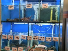 -华峰食馆(氹仔店)