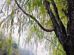 -盛世南宫影视城(北普陀影视城)