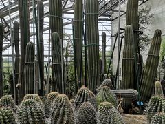 -南山植物园