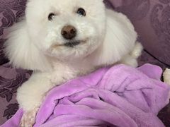 -北京恒爱动物医院(清景园分院)