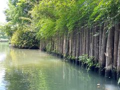 -西溪国家湿地公园