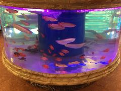 -印象·浅水湾(百乐门大厦店)