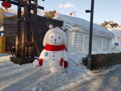 -长春市南湖公园