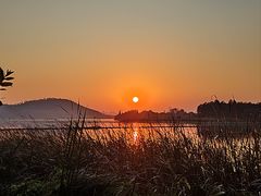 -东湖落雁景区
