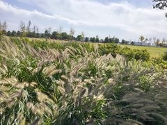 -汉长安城未央宫国家考古遗址公园