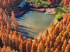 -黄海国家森林公园