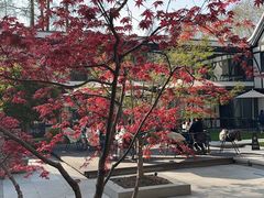 -一尺花园(安和花园店)