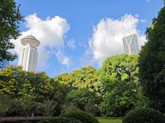 -人民公园-相亲角