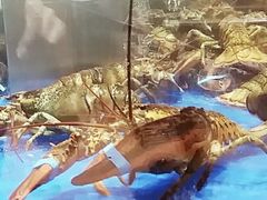 -盒马鲜生(顺义店)