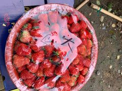 -南京众彩农副产品配送有限公司