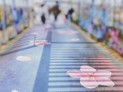 -桃花岛景观公园