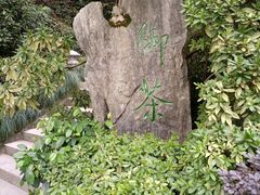 -十八棵（老龙井）御茶园(老龙井店)