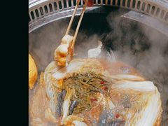 -桃源村铁锅炖鱼(体育馆道店)