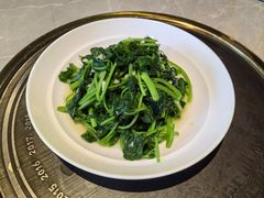 -新渝城·川菜·火锅(区庄店)