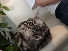 -小时光咖啡馆(北锣鼓巷店)