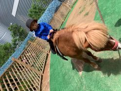 -萌宠亲子动物乐园(槐房万达店)