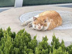-石家庄市植物园